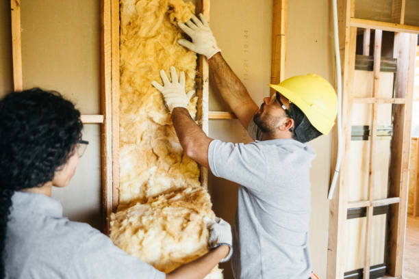 Best Commercial Insulation Services  in Laurel, DE